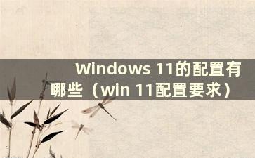 Windows 11的配置有哪些（win 11配置要求）